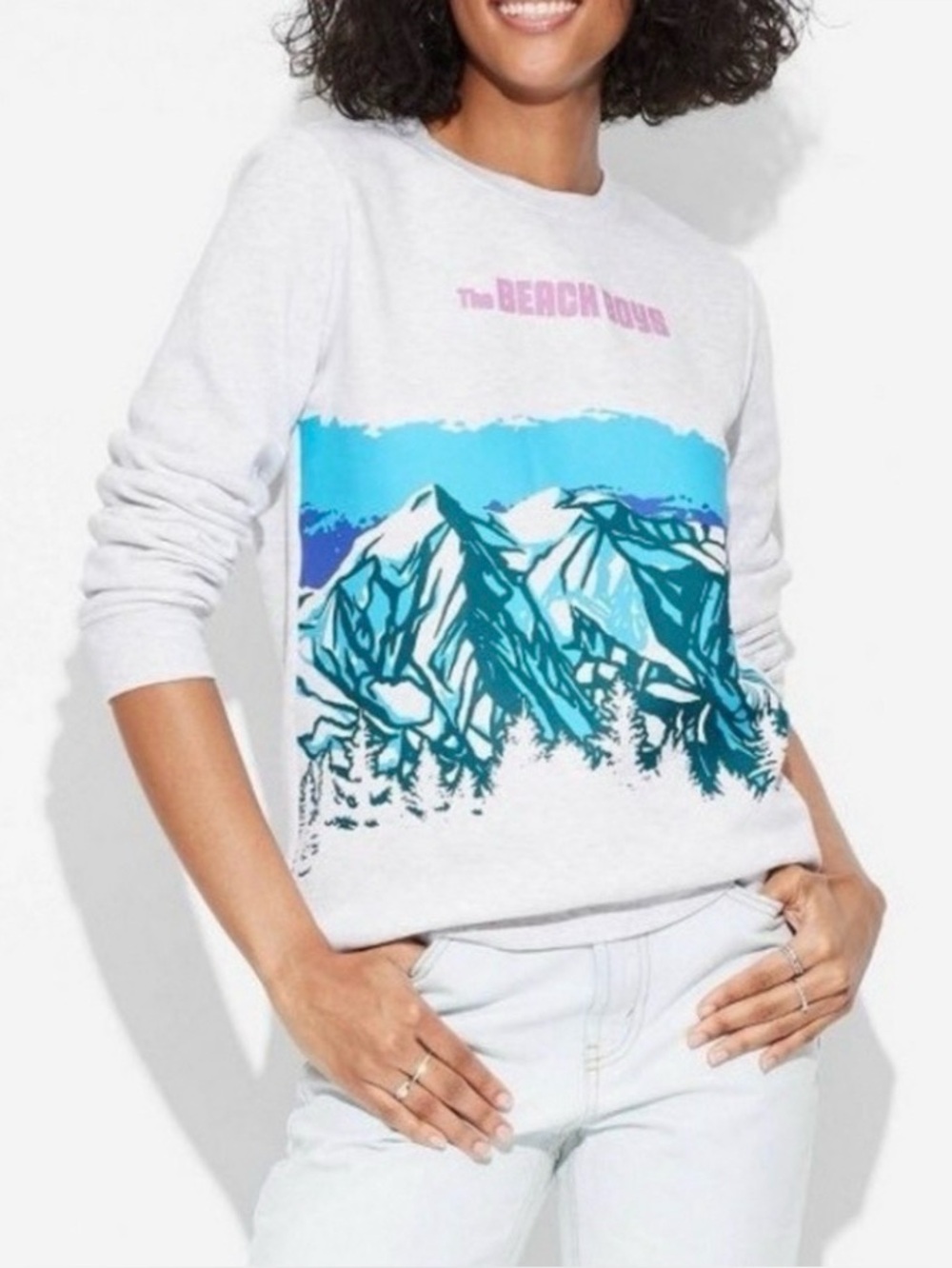The Beach Boys Officially Licensed Crewneck Sweatshirt Gray, Graphic Merch, Sz L